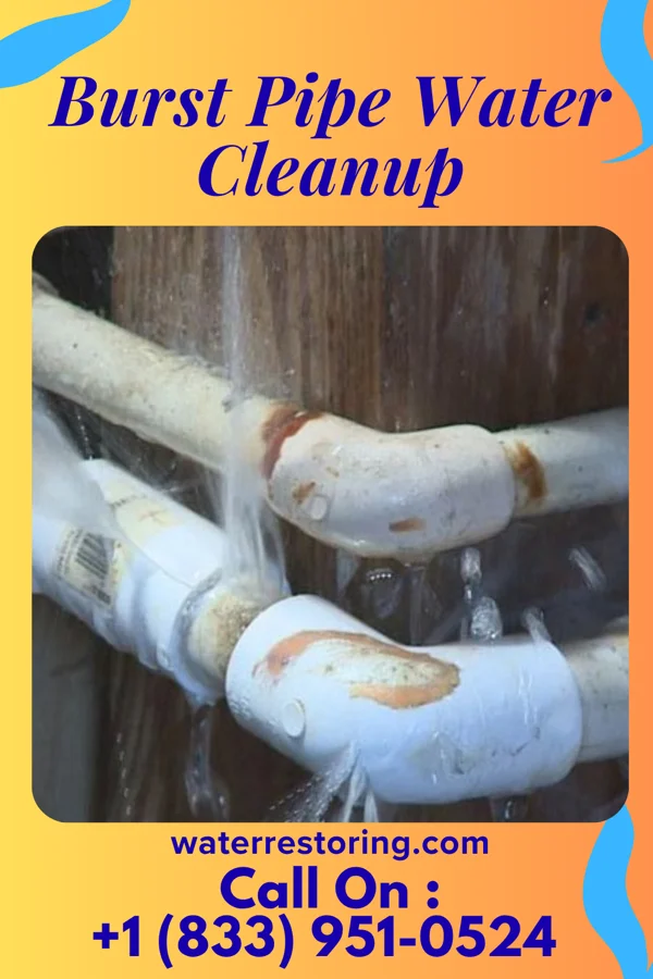 Burst Pipe Water Cleanup in Apollo, PA
