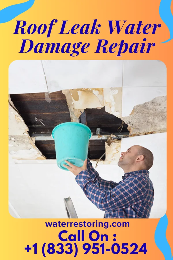 Roof Leak Water Damage Repair in Apollo, PA