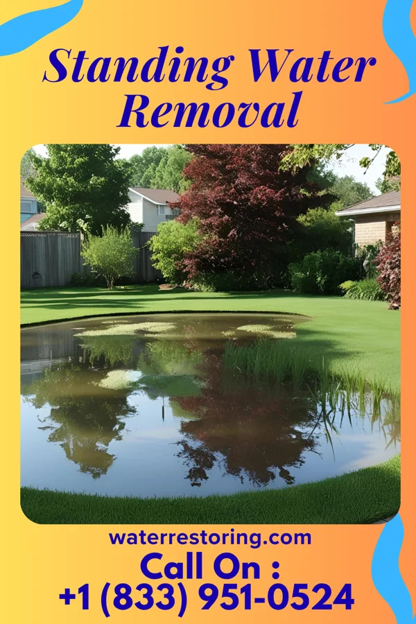 Standing Water Removal in Apollo, PA